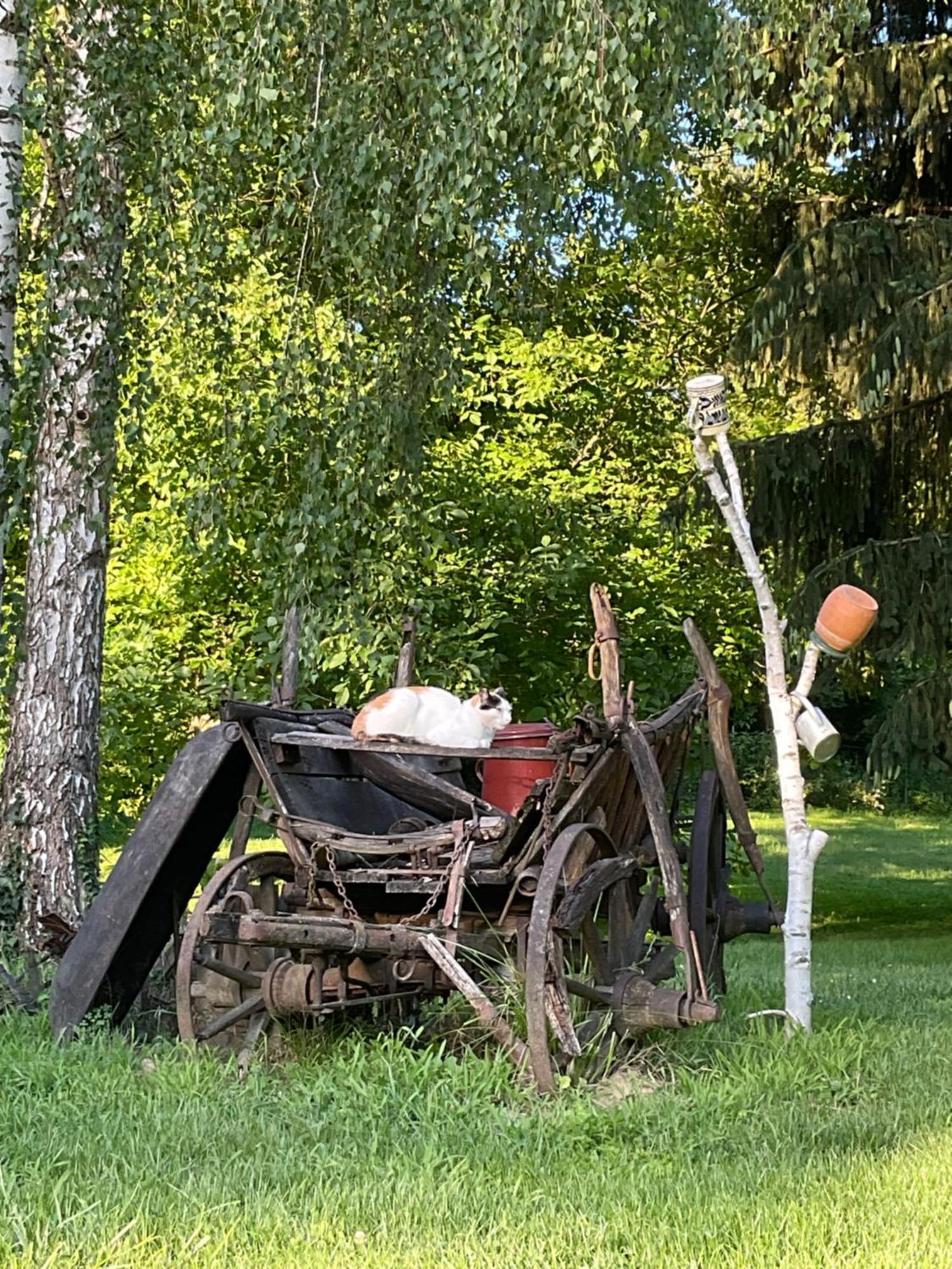 Fonfa Liget Hotell Sénye Exteriör bild